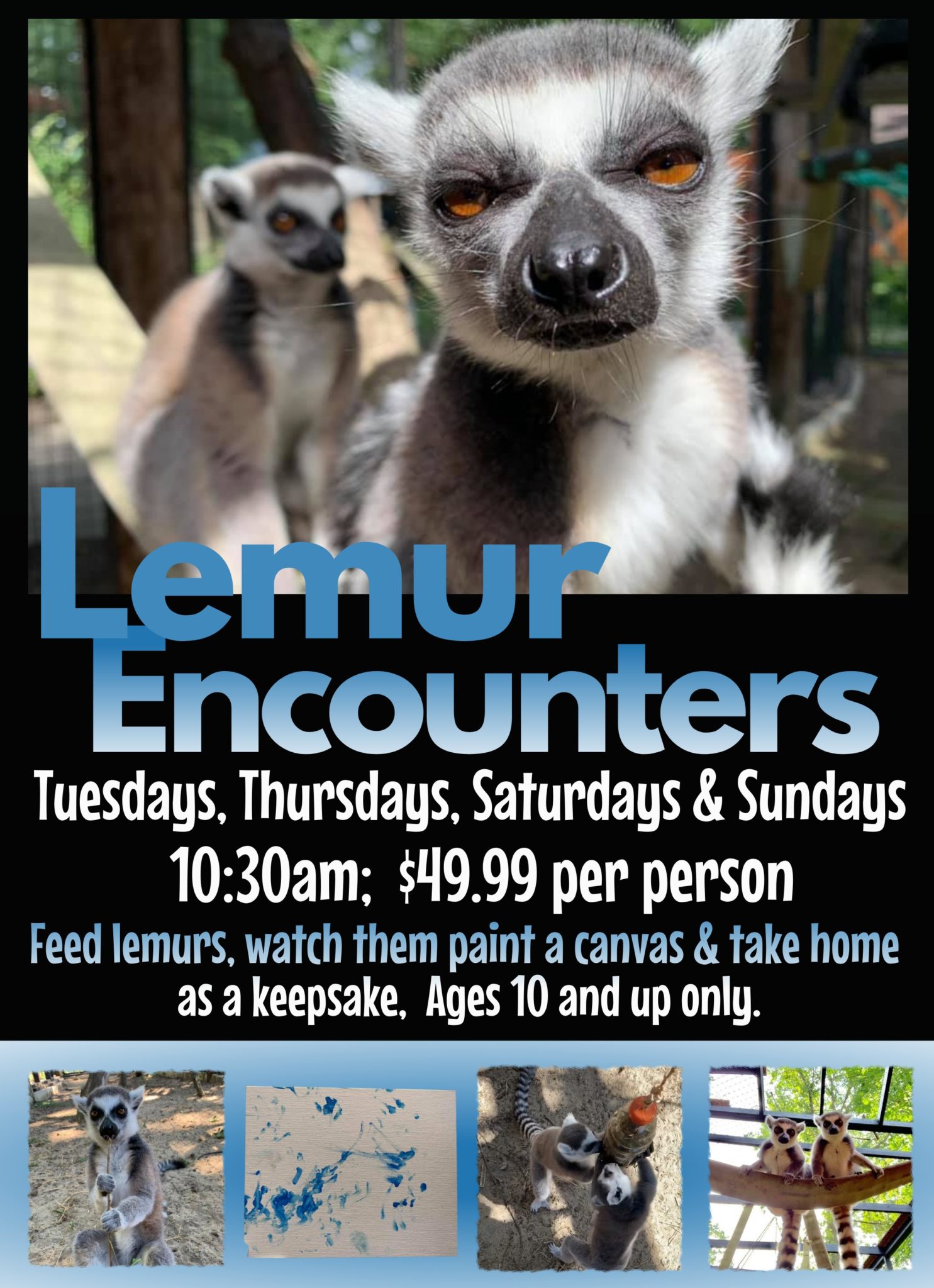 Encounters – Indian Creek Zoo